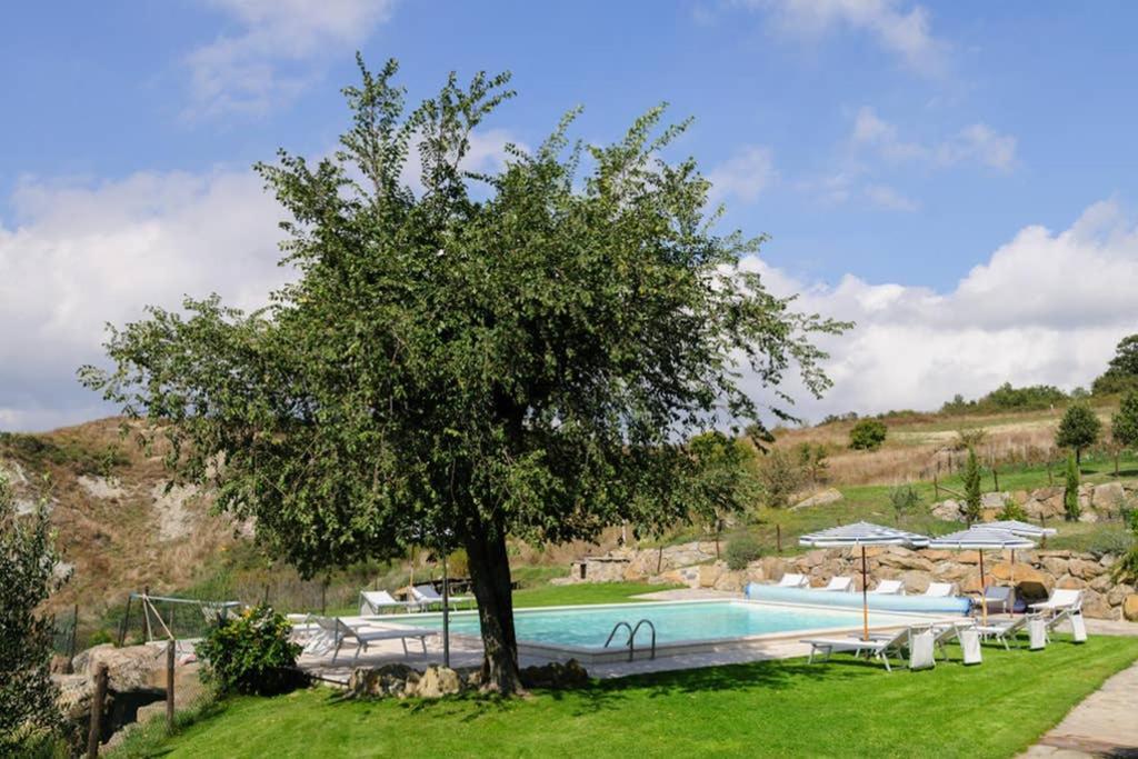 Girasole Cottage Overlooking The Orcia Valley In Tuscany Радикофани Екстериор снимка